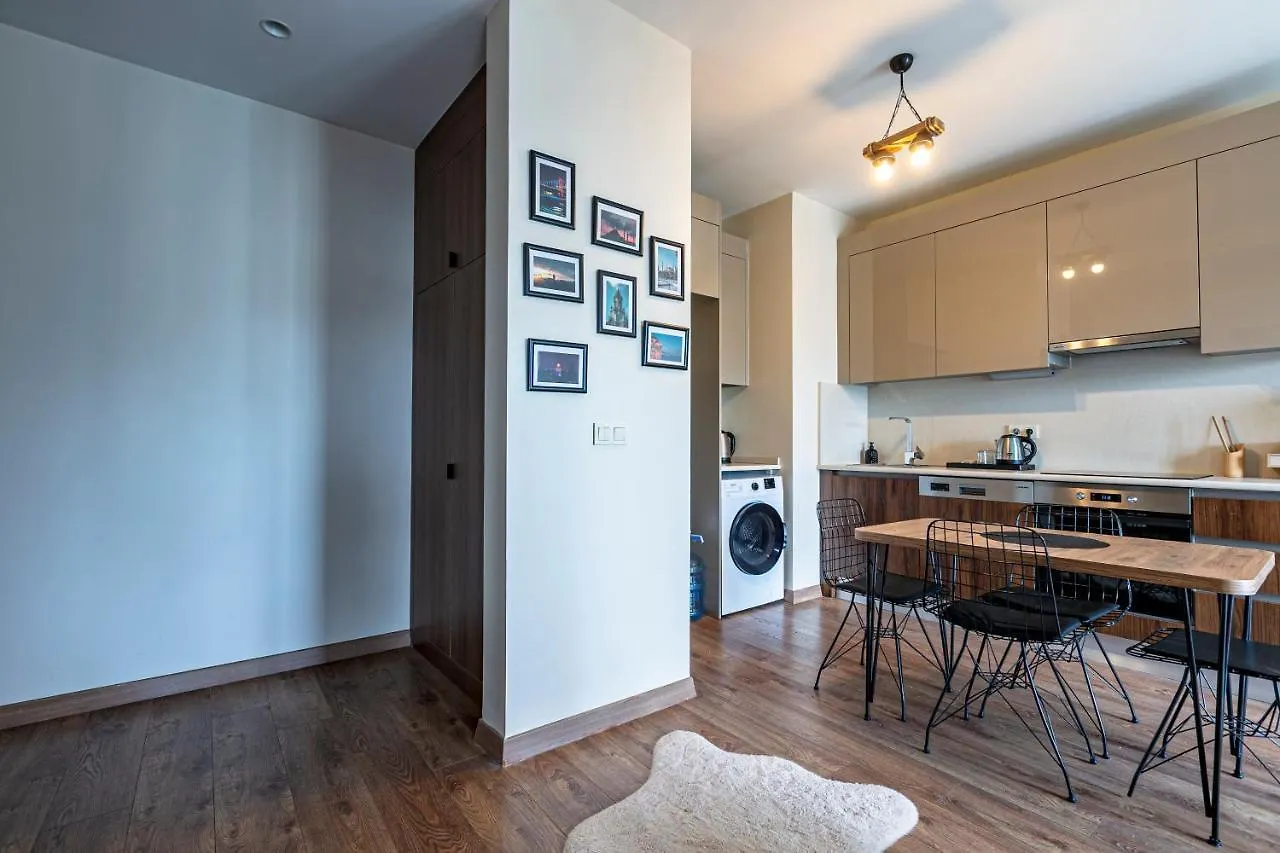 Lux Furnished Modern Apartment Istanbulská provincie Turecko